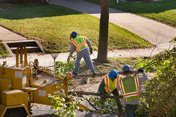 Best Weed Control  in Menlo Park, CA